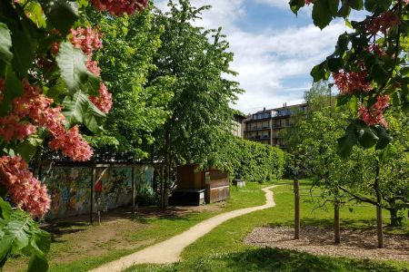 Landhof-Basel_Naturspielplatz_Fruehling_20210508_web-detail_151323.jpg