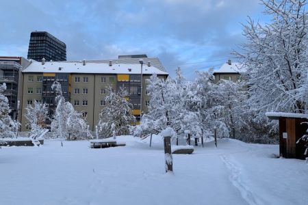 IMG_6950.JPG