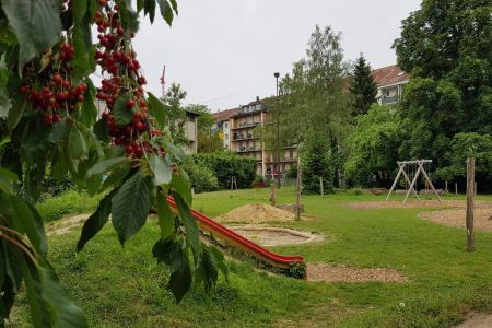 Landhof-Basel_Naturspielplatz-Sommer_20190609_web-detail_123250.jpg